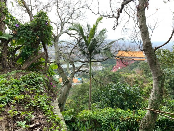 劍潭山（小百岳）830390