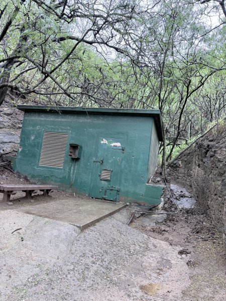 鑽石頭山及珍珠港悠遊  2026.2.213012714