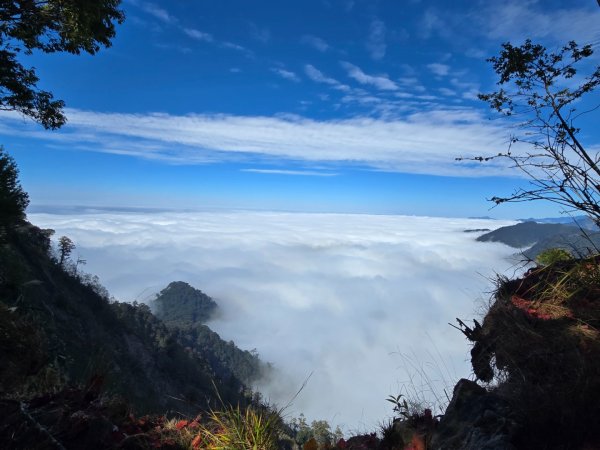 鳶嘴稍來山之楓紅／雲海2974040