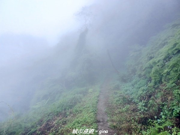【台南。 楠西】滿滿的雲海太驚豔。 小百岳集起來。 編號67小百岳~竹子尖山步道1605924