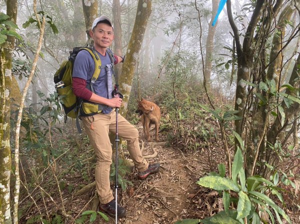 馬那邦山.細道邦山【你 不能預判山的變幻莫測】2401522