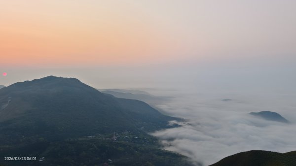 #大屯山 #日出 #雲海 #琉璃光 #橘咖啡 #吉野櫻 3/233020521