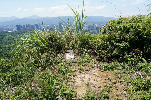 臺北 南港 南港山、拇指山、象、獅、豹、虎、四分里山、茅草埔山2803473