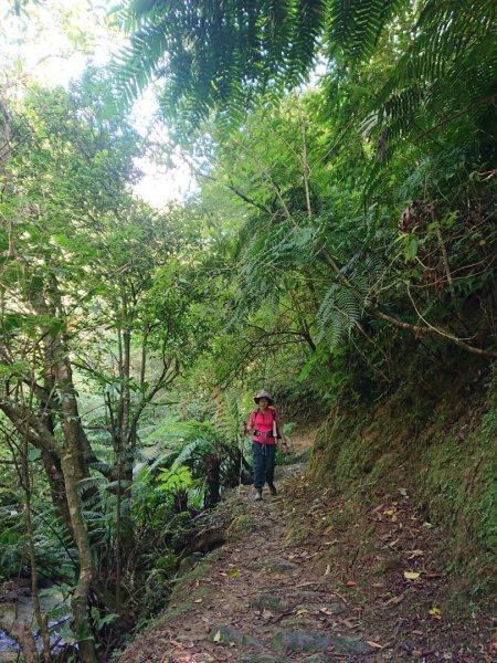畝畝山、青林山、石古井、石硿子瀑布、石硿子古道O走1492821