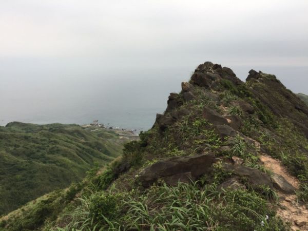 劍龍稜 茶壺山步道310044