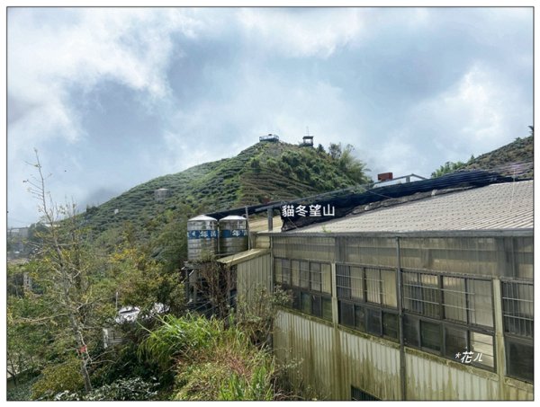 樟空倫山、大崙頭山、貓冬望山、民眾坪山 連走2839045