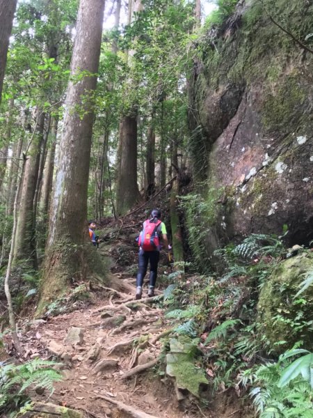 加里山鹿野線461464