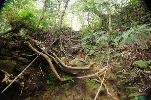 新竹 尖石 內鳥嘴山2899182