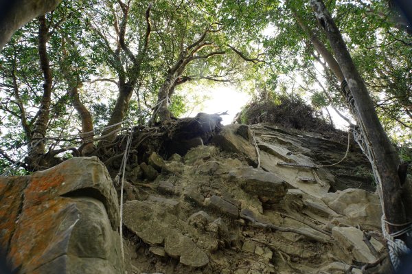 苗栗 獅潭 仙山、大窩山2984288