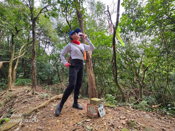 東勢大崙、東勢坑山、觀音湖山O走2986240