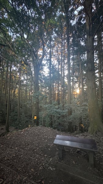 加里山東南峰2867921