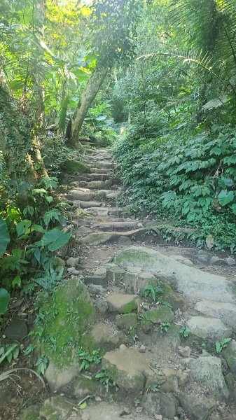 2026-0114溪州山小百岳2984871