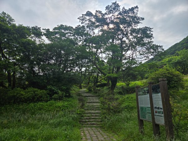 面天山、向天山3045021