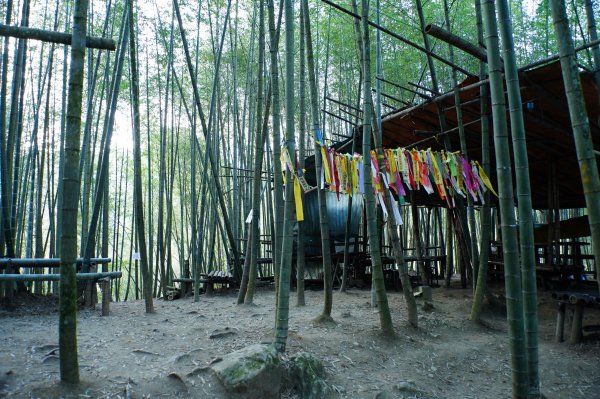 南投 鹿谷 龍鳳山、龍鳳峽山、三叉崙山、水桶寮山、內樹皮山、羊頭崙山、志騰山、竹崙山、溪頭山2962238