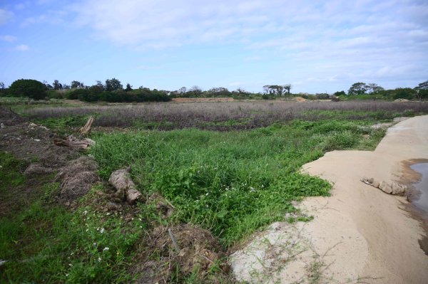 20251205竹竿埤-機堡公園-埔心大埤-懷德居2954755