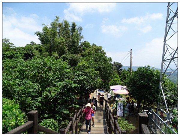 大坑9號步道/軍功寮山962430