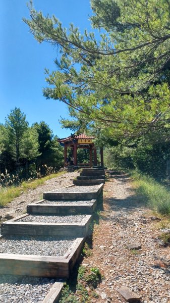 【台中和平】雪山神木步道x小雪山天池步道2933111