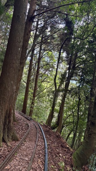 林鐵遺跡2878339