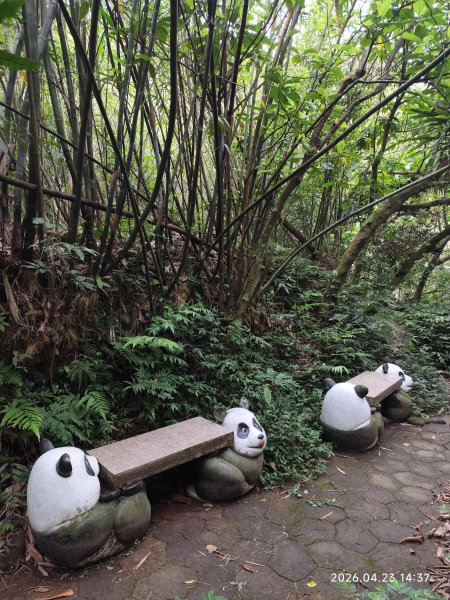 【臺北大縱走7】樟山寺→樟樹步道→指南宮貓空步道→壺穴步道→茶展中心步道→大成殿步道→指南宮千階步道3042071