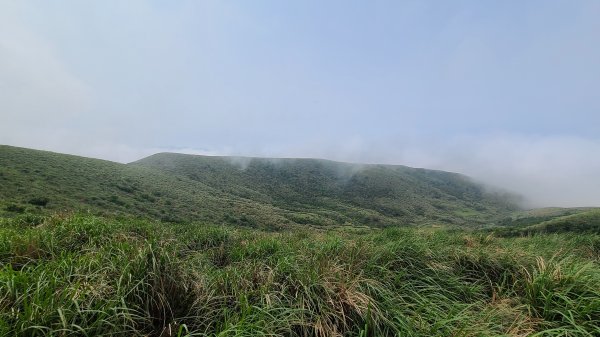 陽明山國家公園-磺嘴山、翠翠谷生態保護區1415947