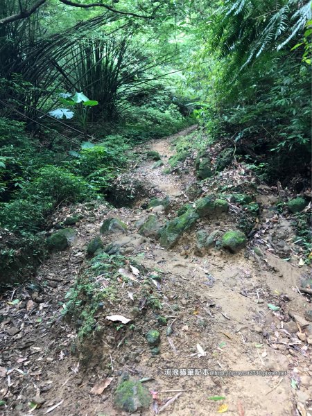 三貂嶺越嶺猴硐步道1035725