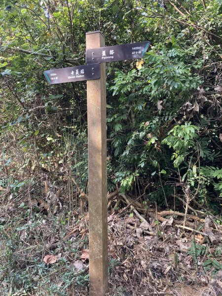 20260221高雄壽山+愛河灣3003361