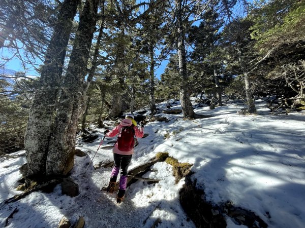 雪山圈谷 除夕 賞雪玩冰 2022/01/311604790
