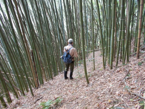 鷹山連走夫婦山西峰1143781