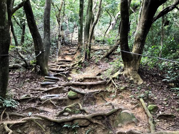 飛鳳山觀日坪連走中坑山388271