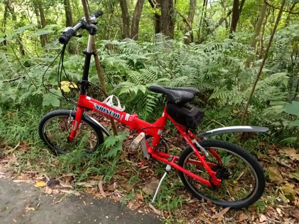 汐止區夢湖保線路+單車夢湖路O型2894147
