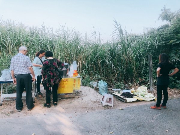 彰化桃源里森林步道420929