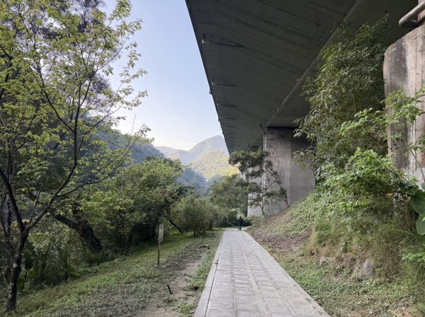 [淡蘭古道] 2026_0315 南路第二段_外按古道3016388