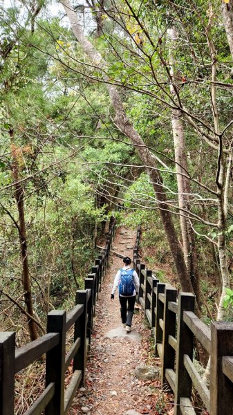谷關七雄波津加山，太平蝙蝠洞延伸步道，花蓮美崙山步道，台東鯉魚山2004993