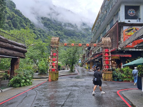 新北內洞國家森林遊樂區步道3106133