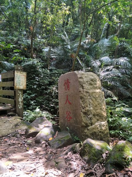 2018 05 14 鳴鳳山古道331754