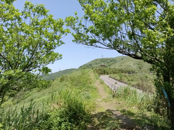 雙溪區不厭亭+牡丹山+樹梅坪+鷹石岩山神廟+不厭亭+奉憲示禁碑+三貂崙+不厭亭8字走2766327