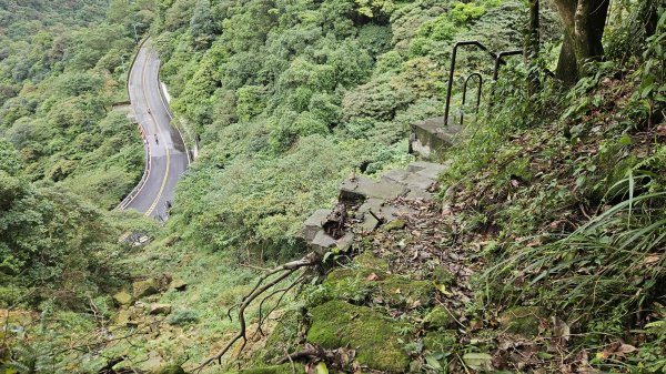 20251115冷水大山-頂中股山2936655