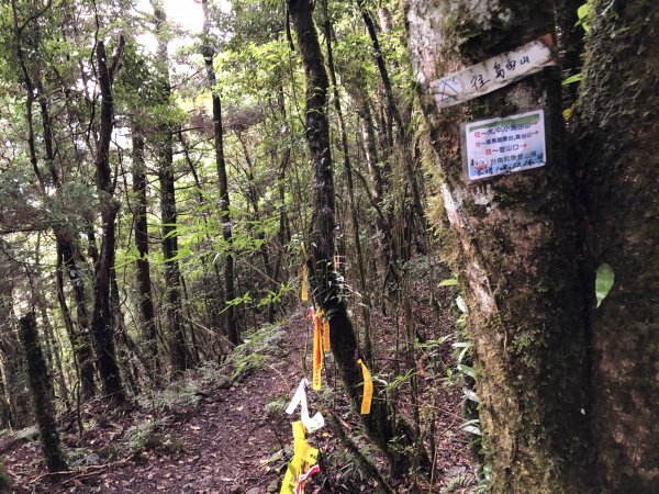 2020/09/13高島縱走P繞1101700