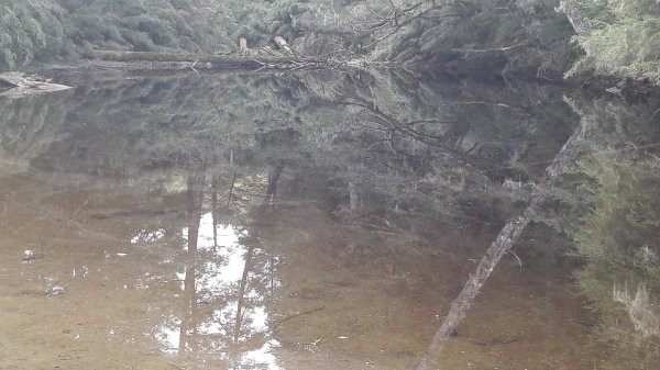 楓之谷~天巒池~武法奈尾山497573