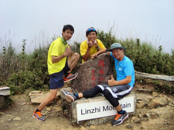 鹿林山、麟趾山、鹿林前山、東埔山一日遊143766