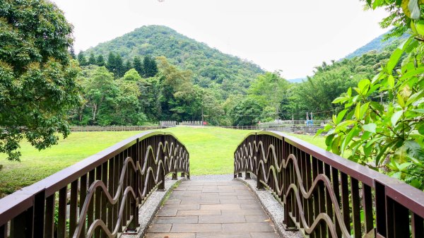 白石湖沒有百合花。晶片關稅2781569