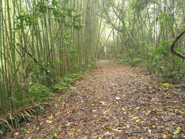 人生之中有點可怕的登山行程......玉女山、金童山及汶水山1552811