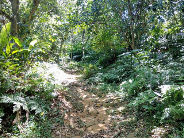 大湖公園。內湖郊山悠遊走1014175