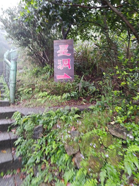 20260327茶壺山3024505