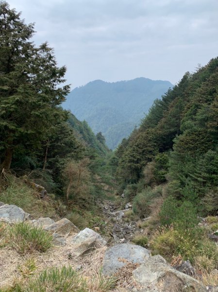 20210321台中大雪山森林北三椎山1532121