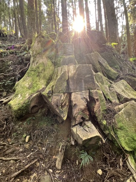 小百岳-金柑樹山2717253