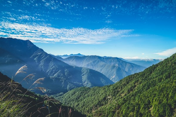 [交通指南] 你也可以搭公車上玉山-詳細規劃、花費與實際行程