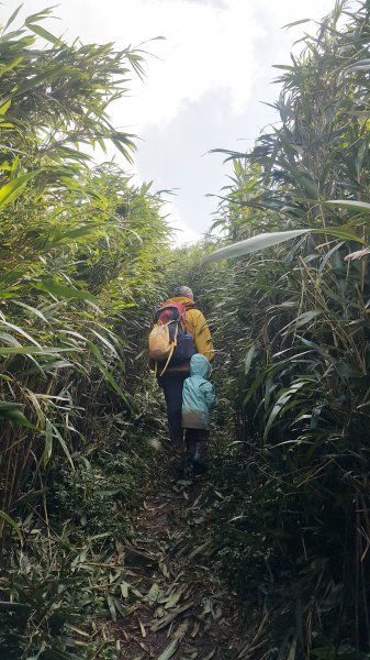 阿興阿賢小觀音山562682