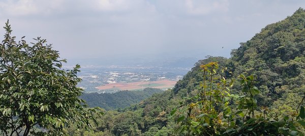 頭嵙山、聚興山3123081