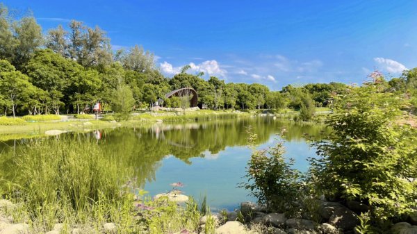 大湳森林公園2817298